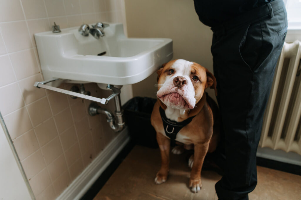 Photographie documentaire d'organismes communautaires à Montréal.